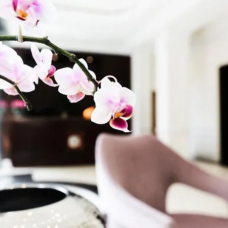 Kleiner Rosengarten 4* مانهايم